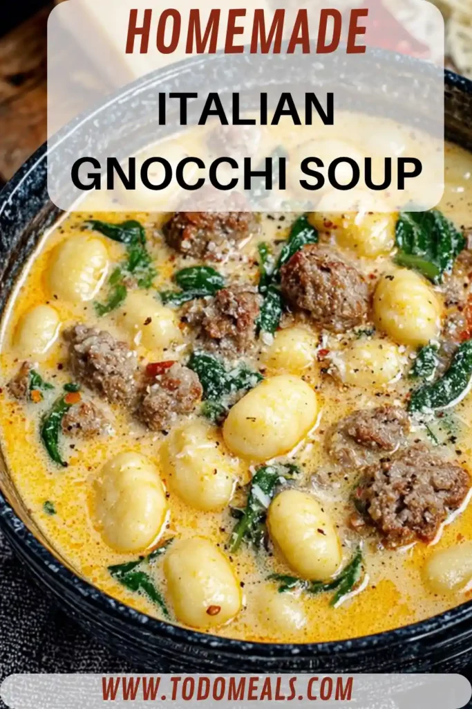 Creamy Italian Gnocchi Soup with Beef Sausage 1 Bowl of creamy Italian gnocchi soup with sausage, spinach, and parmesan in a rich broth, served in a rustic black bowl.